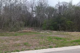 121 Bateleurefrey Cv, Cedar Creek, TX 78612 - Photo 1