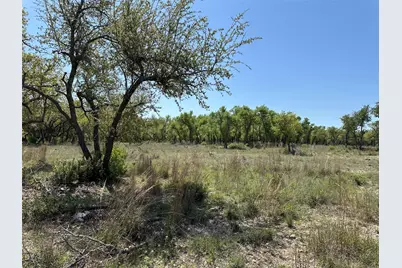 Lot 106 E Flying Owl Drive, Johnson City, TX 78636 - Photo 9