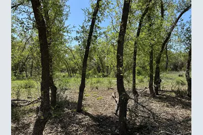 Lot 106 E Flying Owl Drive, Johnson City, TX 78636 - Photo 5