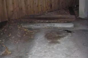 303 W 35th St, Austin, TX 78705 - Photo 11