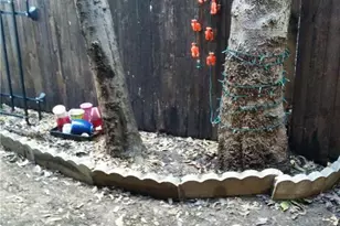 3506 Speedway St, Austin, TX 78705 - Photo 7