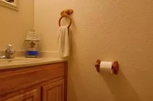 155 Cherry Ridge, Burnet, TX 78611 - Photo 31