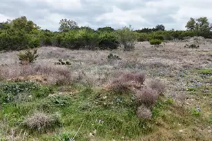 155 Cherry Ridge, Burnet, TX 78611 - Photo 39