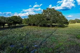 Lot 110 Kudu Ct, Lampasas, TX 76550 - Photo 15