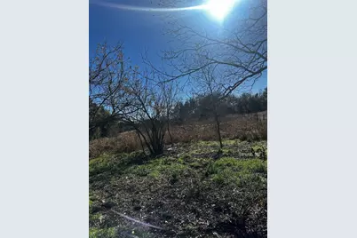 607 Old McDade Road, Elgin, TX 78621 - Photo 3