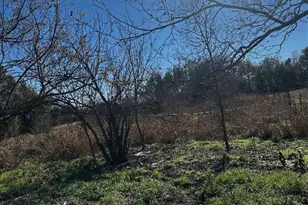 607 Old McDade Rd, Elgin, TX 78621 - Photo 3