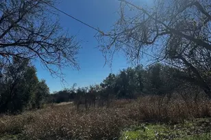 607 Old McDade Rd, Elgin, TX 78621 - Photo 5