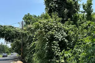 607 Old McDade Rd, Elgin, TX 78621 - Photo 7