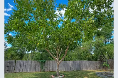 18100 Belfry Pass, Manor, TX 78653 - Photo 27