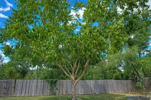 18100 Belfry Pass, Manor, TX 78653 - Photo 27