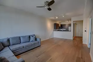 54 Rainey St, Austin, TX 78701 - Photo 7