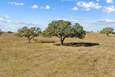 2494 County Road 118, Giddings, TX 78942 - Photo 9
