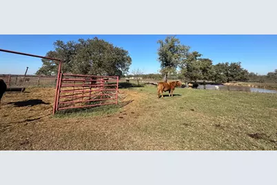 4834 Old Boone Prairie (107.53 Acres) Road, Franklin, TX 77856 - Photo 15