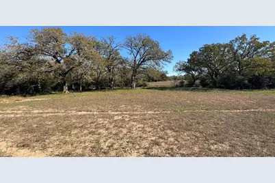 4834 Old Boone Prairie (107.53 Acres) Road, Franklin, TX 77856 - Photo 11