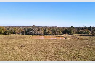 4834 Old Boone Prairie (107.53 Acres) Road, Franklin, TX 77856 - Photo 17