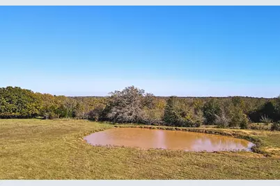 4834 Old Boone Prairie (107.53 Acres) Road, Franklin, TX 77856 - Photo 19
