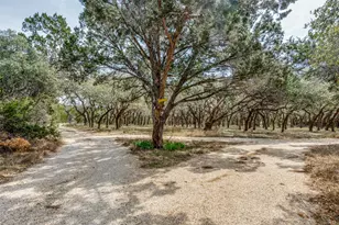 34970 Smithson Valley Rd, Bulverde, TX 78163 - Photo 31