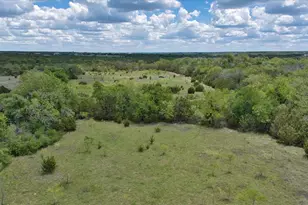 4220 Co Rd 202, Burnet, TX 78611 - Photo 11