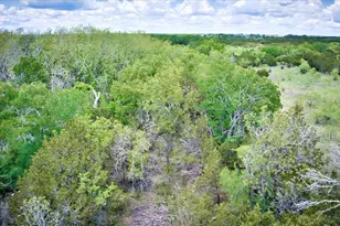 4220 Co Rd 202, Burnet, TX 78611 - Photo 9