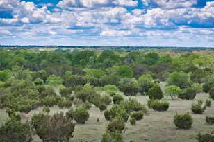 4220 Co Rd 202, Burnet, TX 78611 - Photo 15