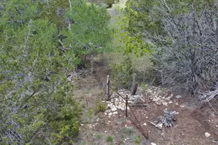 4220 Co Rd 202, Burnet, TX 78611 - Photo 13