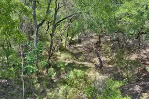 4220 Co Rd 202, Burnet, TX 78611 - Photo 7