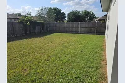 319 Riverwalk Drive, Hutto, TX 78634 - Photo 3