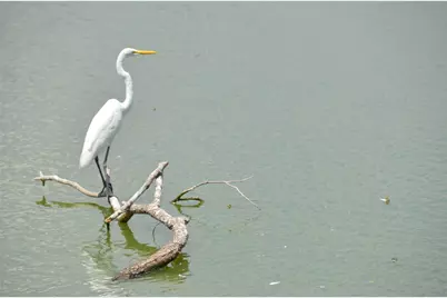 1209 Vance Street #14, Taylor, TX 76574 - Photo 23