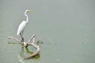 1209 Vance St, Taylor, TX 76574 - Photo 23