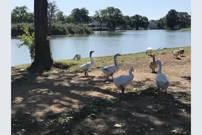 1209 Vance Street #10, Taylor, TX 76574 - Photo 19