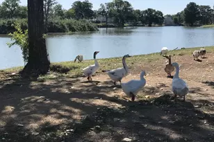 1209 Vance St, Taylor, TX 76574 - Photo 19