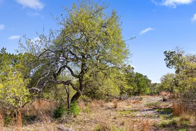 12136 Fitzhugh Place, Dripping Springs, TX 78620 - Photo 11