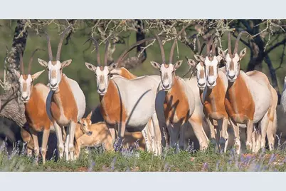 205 S Flat Rock Way, Johnson City, TX 78636 - Photo 3