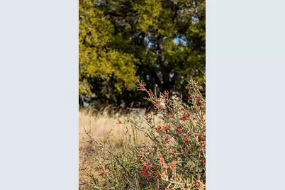 Lot 20 & 21 County Rd 141, Burnet, TX 78611 - Photo 25