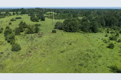 Tbd Fm 39, Jewett, TX 75846 - Photo 21