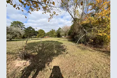 118 Shore Front Drive, Bastrop, TX 78602 - Photo 5