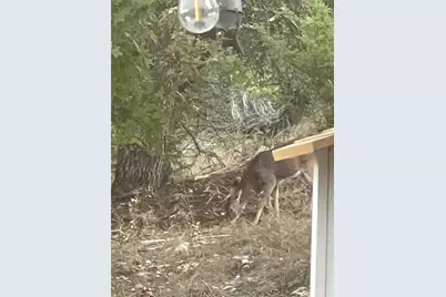 101 Hillview Trail, Dripping Springs, TX 78620 - Photo 11