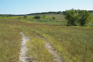 00 Westfall Dr, Burnet, TX 78611 - Photo 5