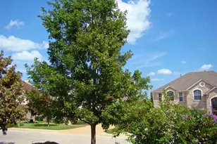 10700 Pointe View Dr, Austin, TX 78738 - Photo 5