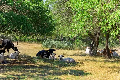 1655 N Walnut Springs Road, Johnson City, TX 78636 - Photo 39