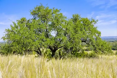 1655 N Walnut Springs Road, Johnson City, TX 78636 - Photo 19