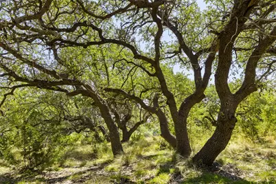 1655 N Walnut Springs Road, Johnson City, TX 78636 - Photo 33