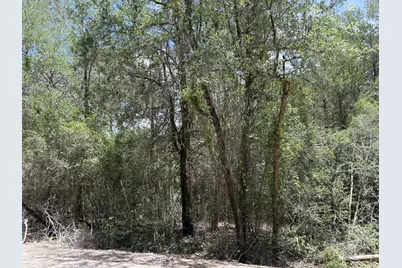 Lot 1228 & 1229 Hanauma Drive, Bastrop, TX 78602 - Photo 3