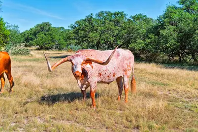 753 W Sunset Drive, Johnson City, TX 78636 - Photo 39