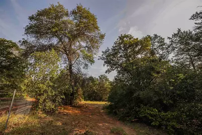 Tbd Stiewert Lane, Paige, TX 78659 - Photo 21