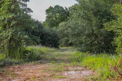 Tbd Stiewert Lane, Paige, TX 78659 - Photo 7