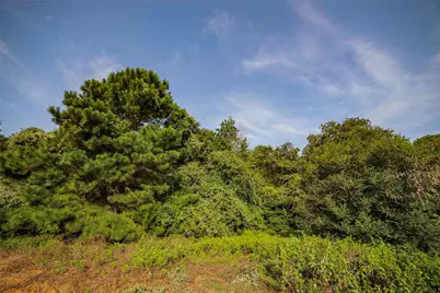 Tbd Stiewert Lane, Paige, TX 78659 - Photo 11