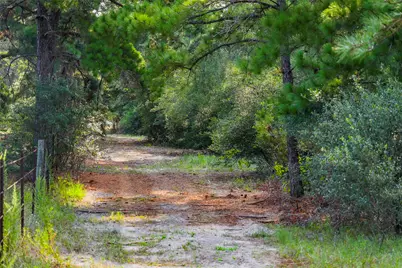 Tbd Stiewert Lane, Paige, TX 78659 - Photo 5