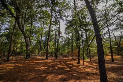 Tbd Stiewert Lane, Paige, TX 78659 - Photo 25
