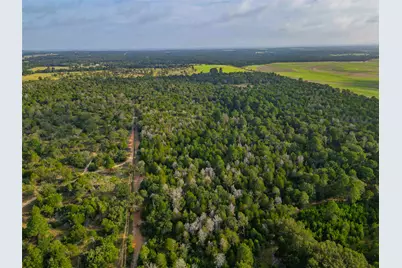 Tbd Stiewert Lane, Paige, TX 78659 - Photo 39